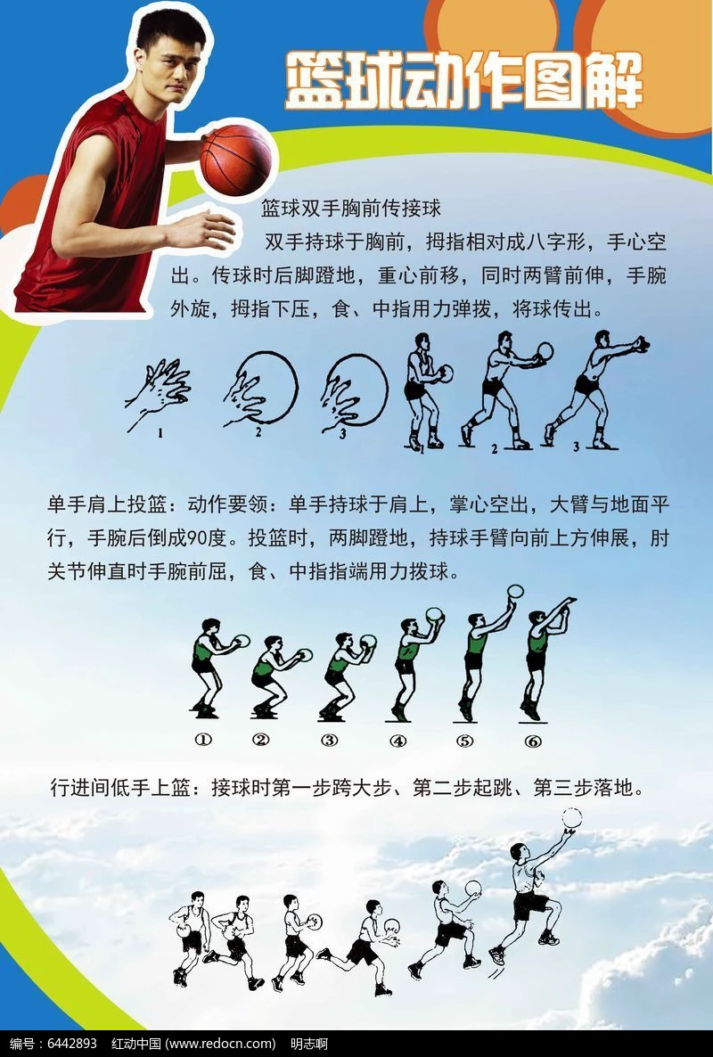 篮球中身体平衡训练动作要领